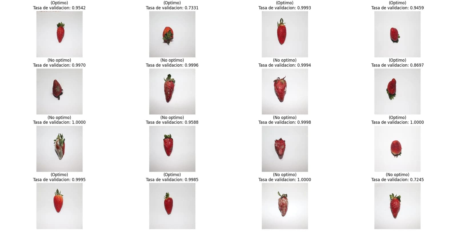 Resultados del modelo: dieciséis fresas clasificadas como óptimas o no óptimas, cada una con su tasa de validación.